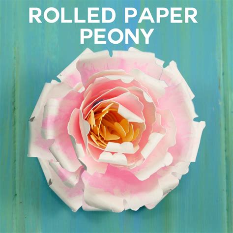 Rolled Peony Image