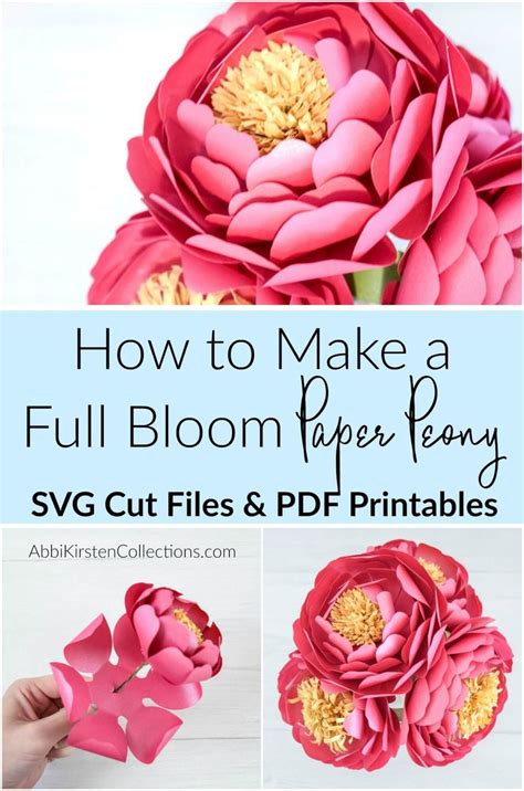 Rolled Peony Template Example