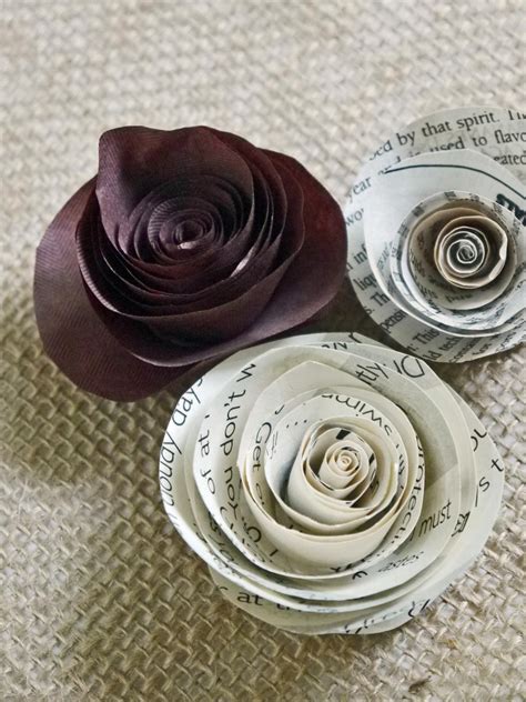 Rolled Rose Image