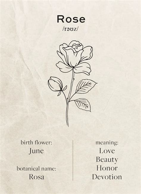 Rose Birth Flower