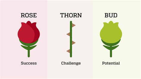 Rose Bud and Thorn Template