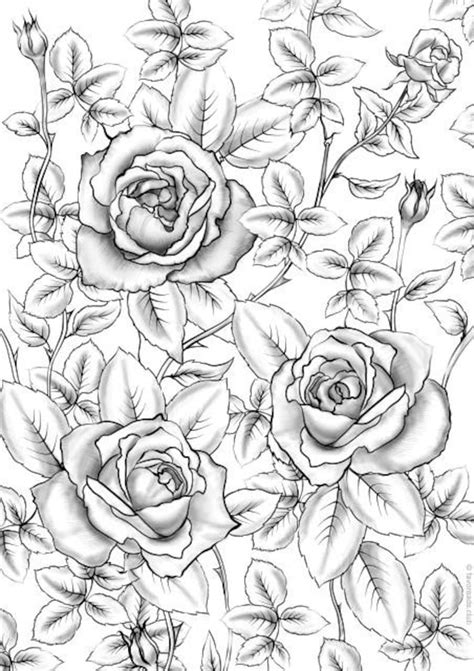 Rose Coloring Book for Adults