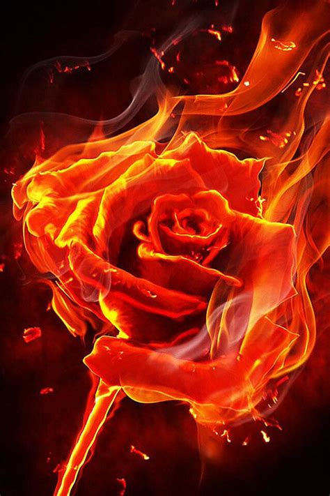 Rose in fire art