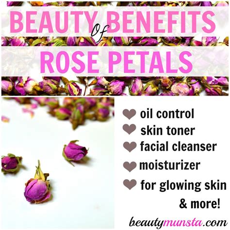 Benefits of Rose Petal Templates