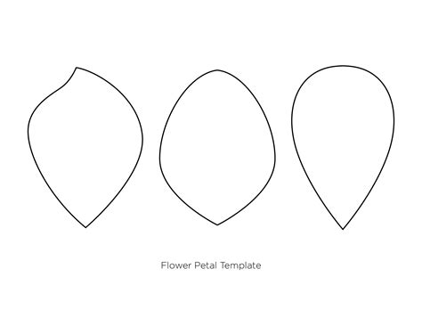 Rose Petal Template Design 1