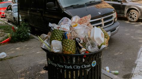 A person holding a trash can