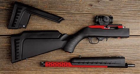 Ruger 10/22 rifle in a survival scenario