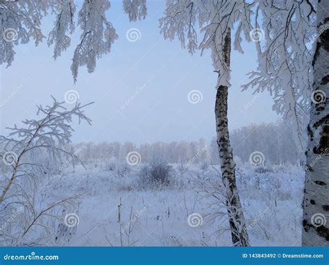 Russian frosty morning