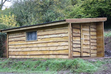 Rustic Wood Shed