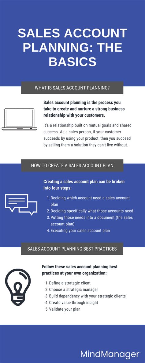 Sales Account Plan Components