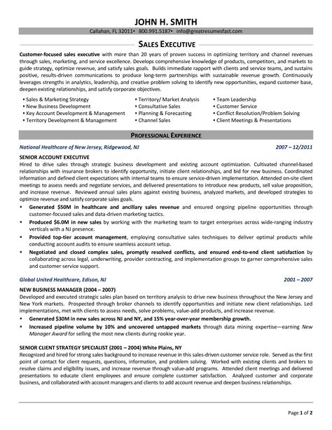 Sales Executive Resume Template Example