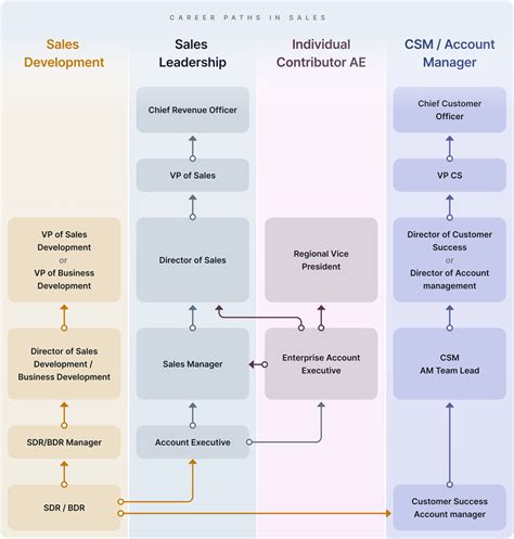 Sales Representative Career Paths