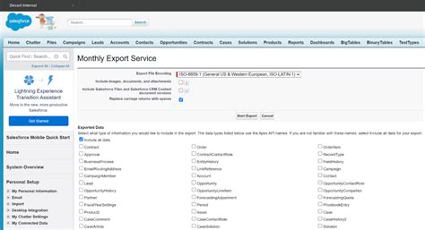 Salesforce API Export