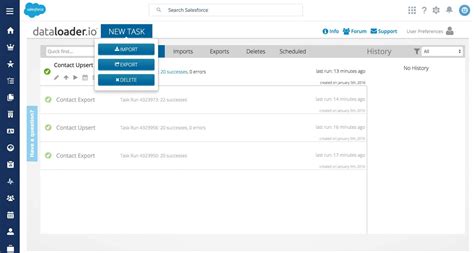 Salesforce Data Loader Export