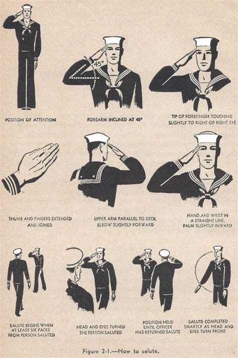 A diagram illustrating the different types of military salutes