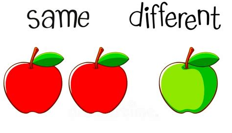 Same and Different Colors Worksheet