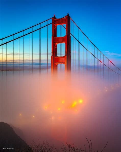 San Francisco Foggy Morning