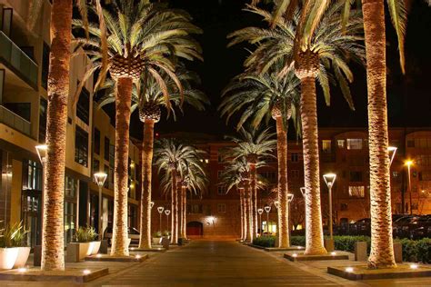 Downtown San Jose with its city lights