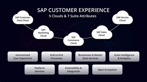 SAP customer experience management