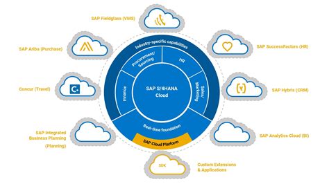 SAP HANA platform