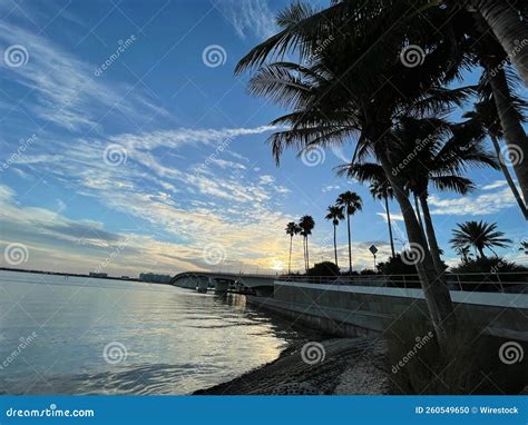 Sarasota Bayfront Lights