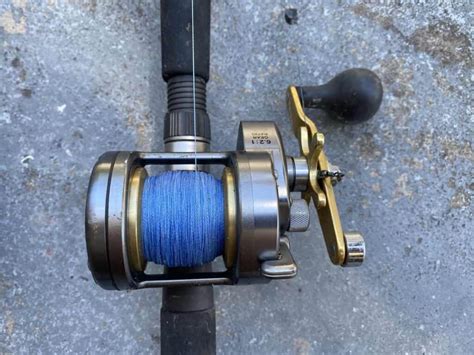 Sardine Madison Reel for Pros