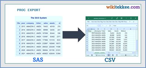 SAS Data Export