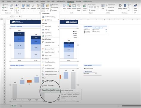 Save Chart as Image in Excel