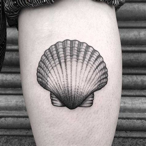 Scallop shell tattoo