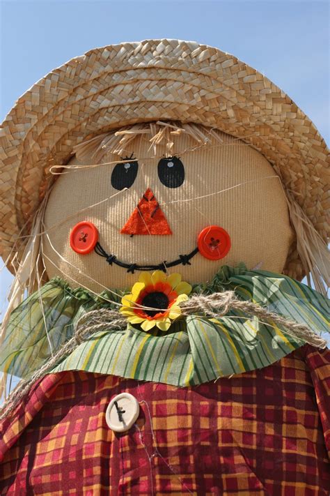 Scarecrow in a garden