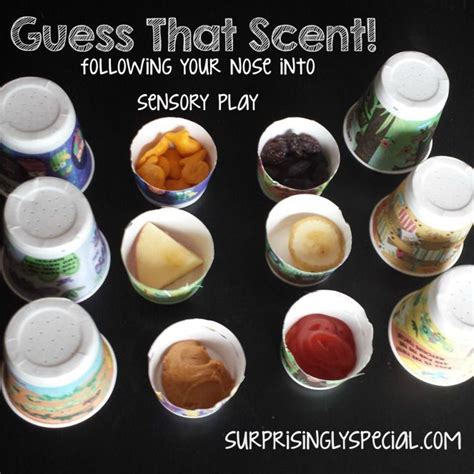 Scent Sorting Game for Kindergarten