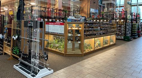 Scheels fishing department