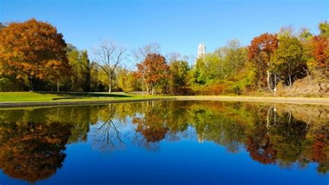 A scenic view of Schenley Park