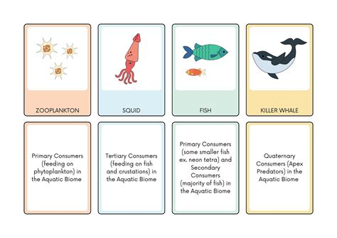 Science flashcard template