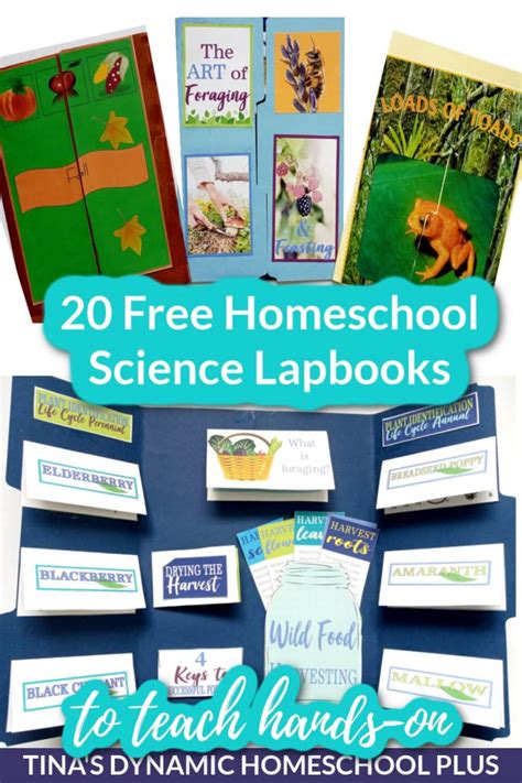 Science Lapbook Printables