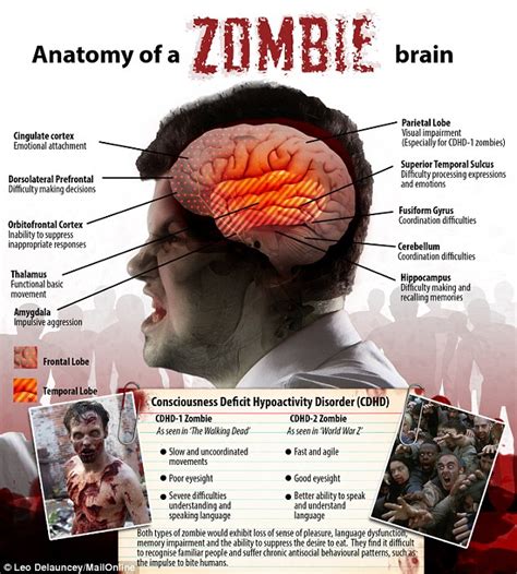 A scientist studying a zombie outbreak in a laboratory setting