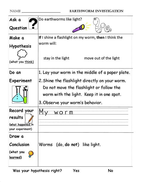 Example Science Worksheets