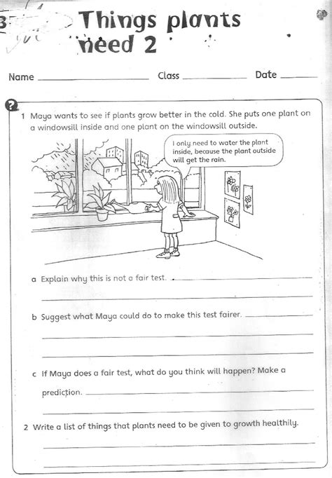 Human Body Systems Worksheet