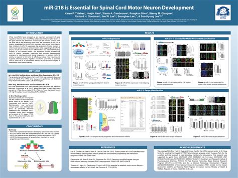 Designing a Scientific Poster from Scratch in Google Slides