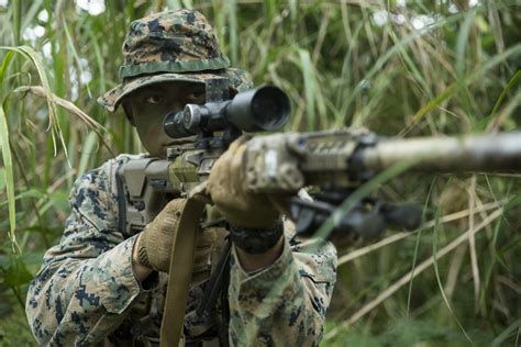 Scout Sniper providing security for a ground unit