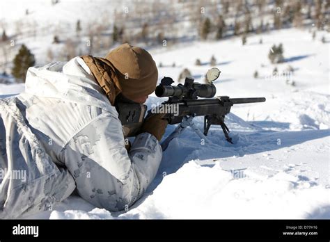 Scout Sniper training