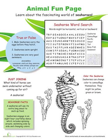 Seahorse education worksheet for kids