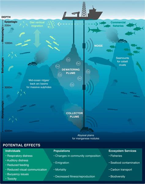 A photograph of a sea mine's environmental impact