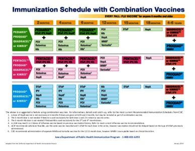 Veterinarian administering a second round vaccination