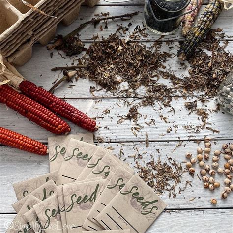 A seed exchange event where individuals can trade seeds and gardening supplies