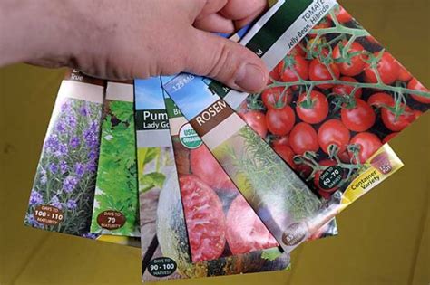 Seed Packet Collection