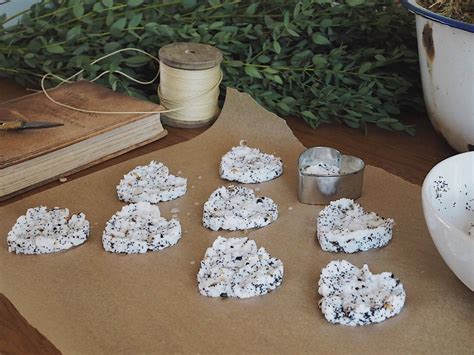 A blooming seed paper garden