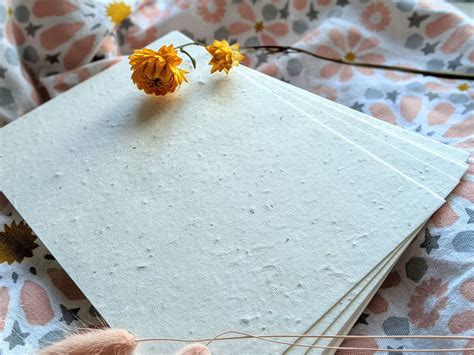 A person holding a blooming seed paper bouquet in a garden