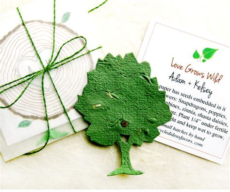 A person planting a seed paper tree in a garden bed