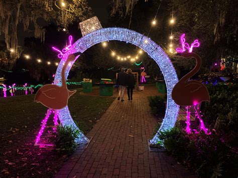 Selby Botanical Gardens Lights